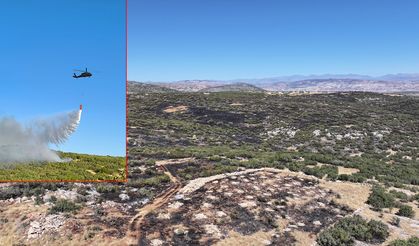 Diyarbakır kırsalındaki yangın kontrol altına alındı