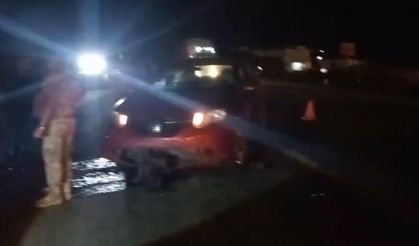 Diyarbakır’da yolda doğum yapan manda, yavrusuyla otomobil altında kaldı