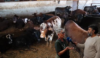 Diyarbakır’a aşı gelmedi, salgın kontrolden çıktı!