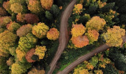 Doğanın sonbahar tablosu büyülüyor