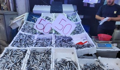 Hamsinin kilosu 50 liraya düştü