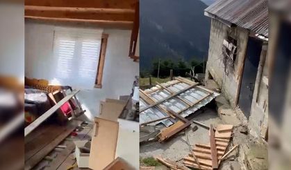 Rize’de ayılar yaylayı bastı, 20 ev talan edildi