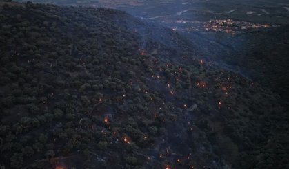 Aydın’daki yangın büyük ölçüde kontrol altına alındı