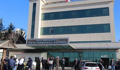 Diyarbakır'da bir işçi inşaattan düşerek hayatını kaybetti