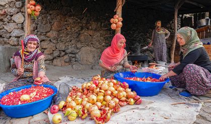 Diyarbakır’da nar ekşisi mesaisi başladı