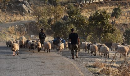 Göçerlerin yaylalardan kışlaklara yolculuğu