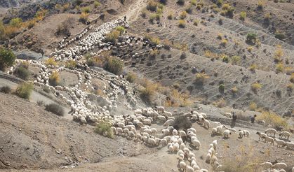 Yayla zamanı bitti göçerler dönüş yolunda