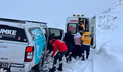 Diyarbakır'da doğayla mücadele: 4 hasta hastanelere ulaştırıldı