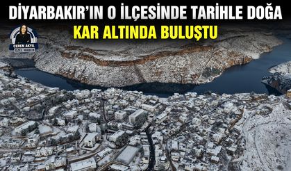 Diyarbakır’ın o ilçesinde tarihle doğa kar altında buluştu