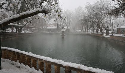 Şanlıurfa tarihi Balıklıgöl’ün görsel şöleni
