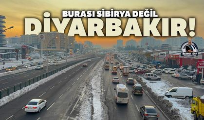 Burası Sibirya Değil, Diyarbakır!