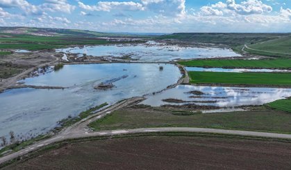 Diyarbakır'da su altında kalan tarım arazileri dronla görüntülendi