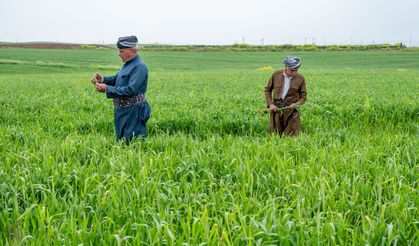 Irak Kürdistan Bölgesi’nde yüzleri güldüren gelişme