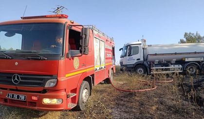 Diyarbakır'da anız yangınları birçok canlının hayatına mal oldu