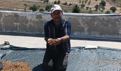 Diyarbakır'da dutlar pazardaki yerini aldı