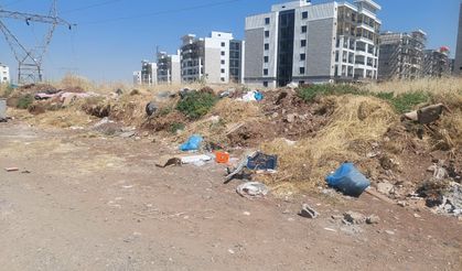 Diyarbakır'da Teknokent bölgesinde yaşayan vatandaşlar belediyeden hizmet bekliyor