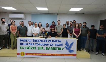 Amed Emek ve Demokrasi Platformu: Demokratik adımlar atılmalı