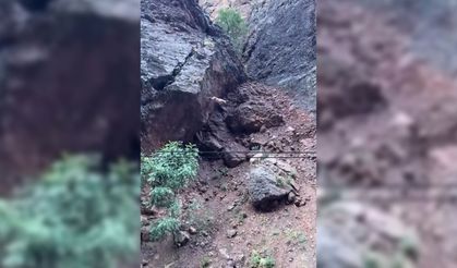 Dağ keçisi metrelerce yüksekten atladı: o anlar kamerada