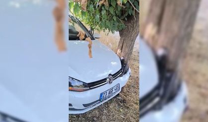 Yoldan çıkan araç ağaca çarptı, 2 yaralı