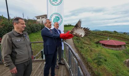 Rize'de doğaya salındı, 9 günde Ürdün'e uçtu