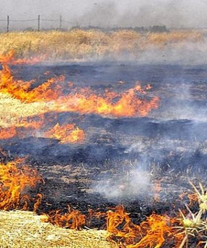 Diyarbakır Çınar'da tarla yandı