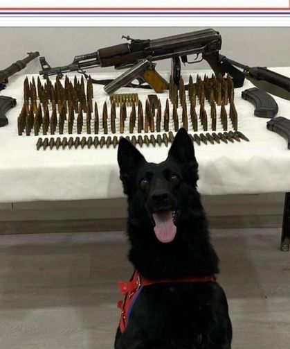 Mardin'de çok sayıda silah ve mühimmat ele geçirildi