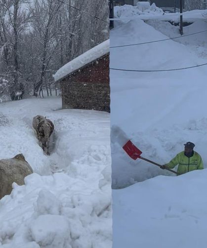 Tunceli’de kar kalınlığı 1,5 metreyi aştı