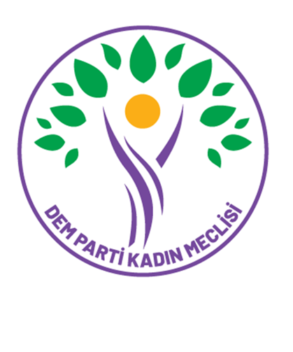 DEM Parti Kadın Meclisi’nden Dilan Karman değerlendirmesi