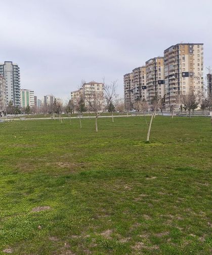 Diyarbakır’da parklardaki çimler bakıma alındı