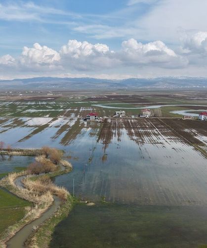 Muş Ovası’nda tarım arazileri sular altında
