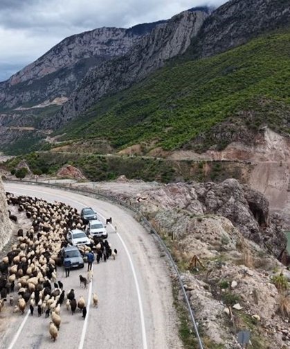 Besicilerin yaylaya zorlu göçü