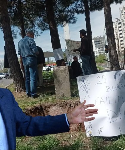 Diyarbakır’da ağaç kesme tartışması büyüyor; Sezgin Tanrıkulu da tepki gösterdi