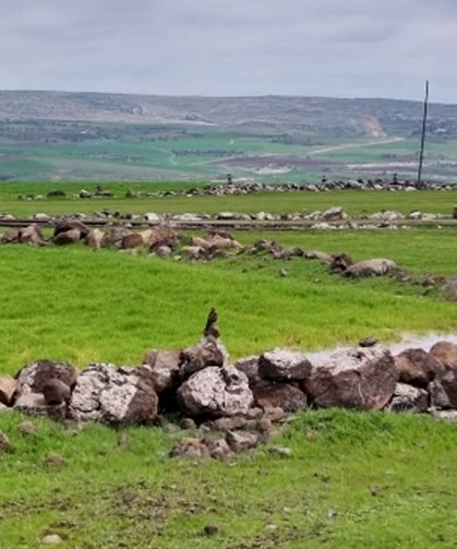 Diyarbakır’da uzmandan, çiftçilere kuş uyarısı