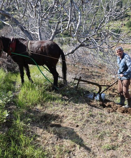 Gençler köyü terk edince iş yaşlılara kaldı