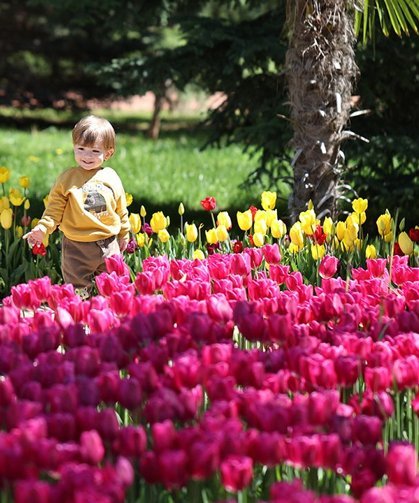İlkbaharın cennet bahçesi
