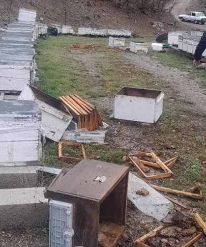 Tunceli'de ayı, 20 kovanı parçaladı