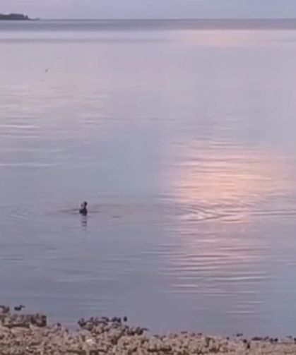 Van Gölü'nde donma tehlikesi