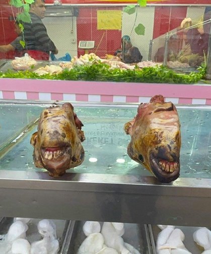 Diyarbakır’da iğneli mizah: Pişmiş kelle gibi ne gülisen?