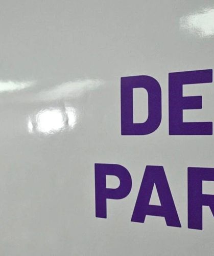 DEM Partili eşbaşkana hapis cezası
