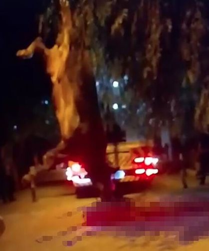 Dereye düşen kurbanlık dana vinçle kurtarıldı