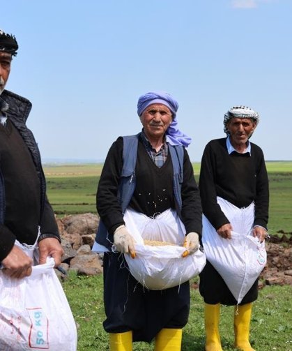 7 yılda bir ekilen Karacadağ pirinci ekimine başlandı