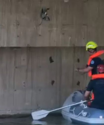 Köprü altında ipe takılan güvercine itfaiye eli uzandı