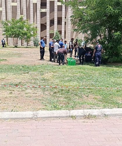 Parkta cansız bedeni bulundu