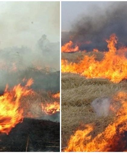 Diyarbakır'da anız yangını