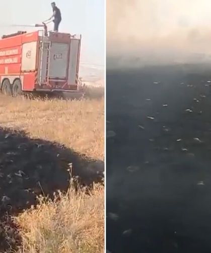 150 dönüm alanda anız yangını
