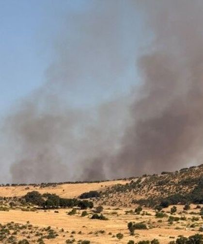 Diyarbakır Lice’de orman yangını