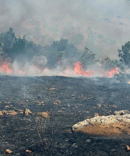 Diyarbakır'ın Lice’de orman yangını