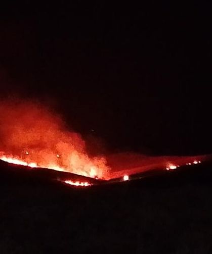 Diyarbakır’da anız ve örtü yangını