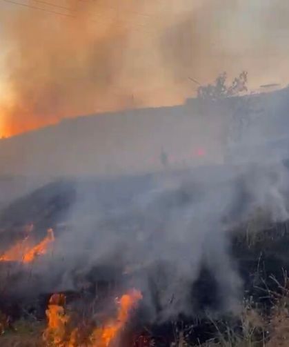 Elazığ'da otluk alanda yangın