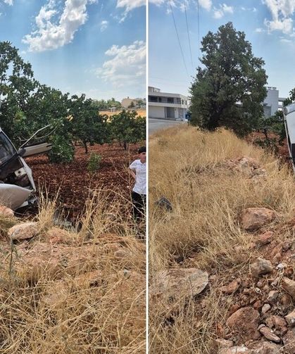 Otomobil fıstık ağacında asılı kaldı